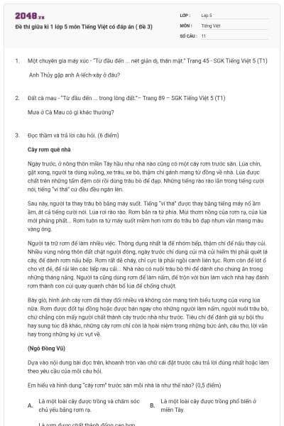 Đề thi giữa kì 1 lớp 5 môn Tiếng Việt có đáp án ( Đề 3)
