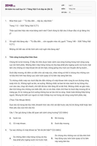 Đề kiểm tra cuối học kì 1 Tiếng Việt 5 có đáp án (Đề 3)