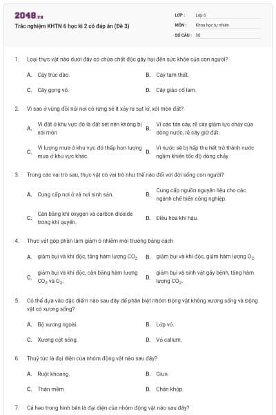 Trắc nghiệm KHTN 6 học kì 2 có đáp án (Đề 3)