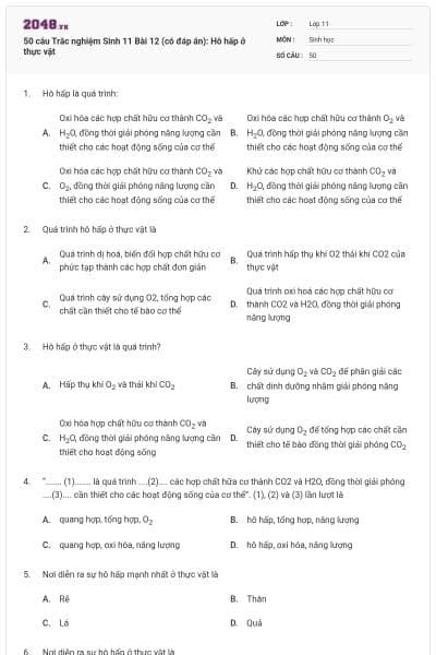 50 câu Trắc nghiệm Sinh 11 Bài 12 (có đáp án): Hô hấp ở thực vật