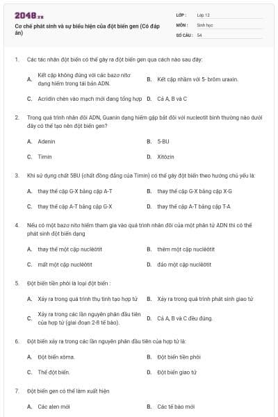 Cơ chế phát sinh và sự biểu hiện của đột biến gen (Có đáp án)