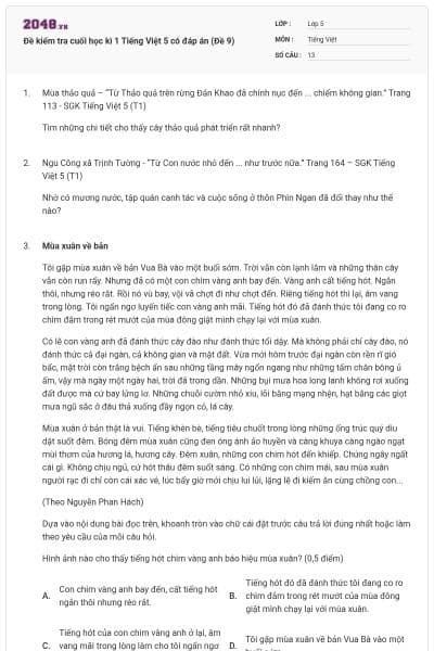 Đề kiểm tra cuối học kì 1 Tiếng Việt 5 có đáp án (Đề 9)