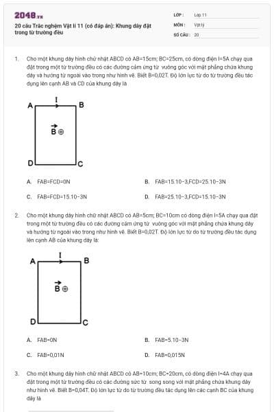 20 câu Trắc nghệm Vật lí 11 (có đáp án): Khung dây đặt trong từ trường đều