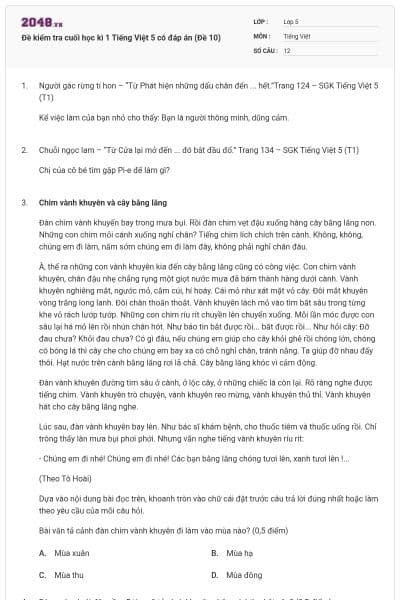 Đề kiểm tra cuối học kì 1 Tiếng Việt 5 có đáp án (Đề 10)