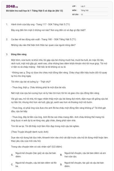 Đề kiểm tra cuối học kì 1 Tiếng Việt 5 có đáp án (Đề 13)