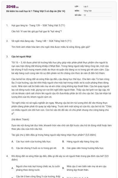 Đề kiểm tra cuối học kì 1 Tiếng Việt 5 có đáp án (Đề 14)