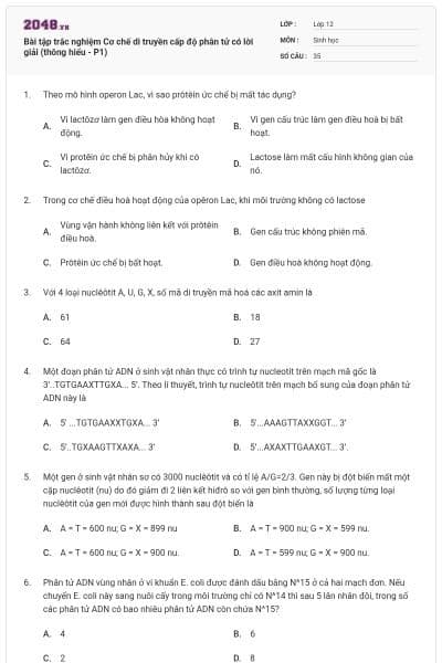 Bài tập trắc nghiệm Cơ chế di truyền cấp độ phân tử có lời giải (thông hiểu - P1)
