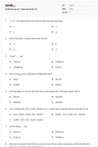 25 Đề thi học kì 1 Toán lớp 5( Đề 13)