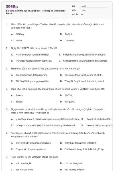 Bộ 4 Đề kiểm tra học kì 2 Lịch sử 11 có đáp án (Mới nhất) - Đề số 1