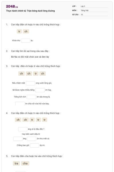 Thực hành chính tả: Trận bóng dưới lòng đường