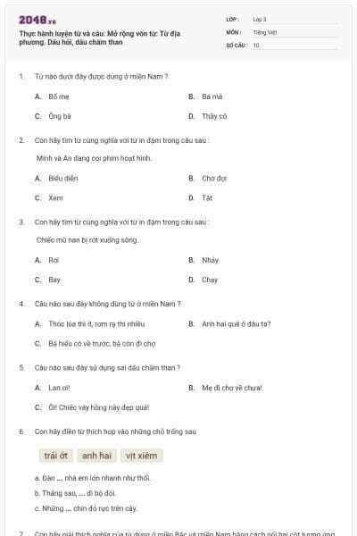 Thực hành luyện từ và câu: Mở rộng vốn từ: Từ địa phương. Dấu hỏi, dấu chấm than