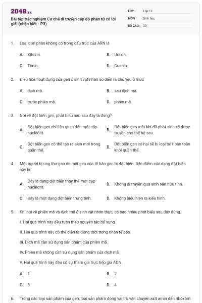 Bài tập trắc nghiệm Cơ chế di truyền cấp độ phân tử có lời giải (nhận biết - P3)