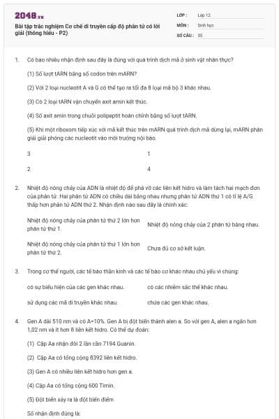 Bài tập trắc nghiệm Cơ chế di truyền cấp độ phân tử có lời giải (thông hiểu - P2)