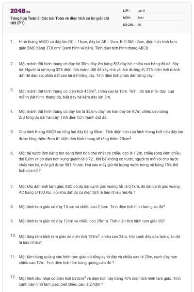 Tổng hợp Toán 5: Các bài Toán về diện tích có lời giải chi tiết (P1)