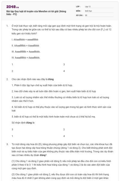 Bài tập Quy luật di truyền của Menđen có lời giải (thông hiểu - P2)
