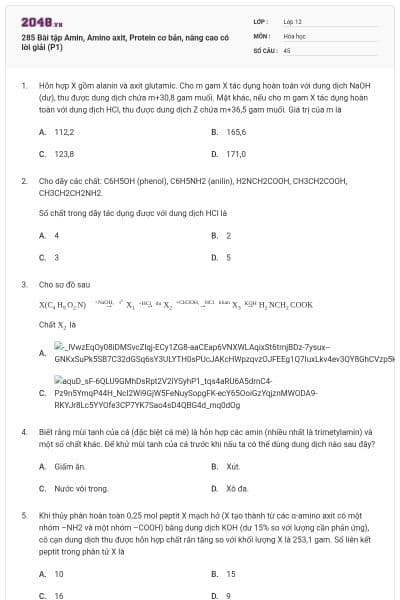 285 Bài tập Amin, Amino axit, Protein cơ bản, nâng cao có lời giải (P1)