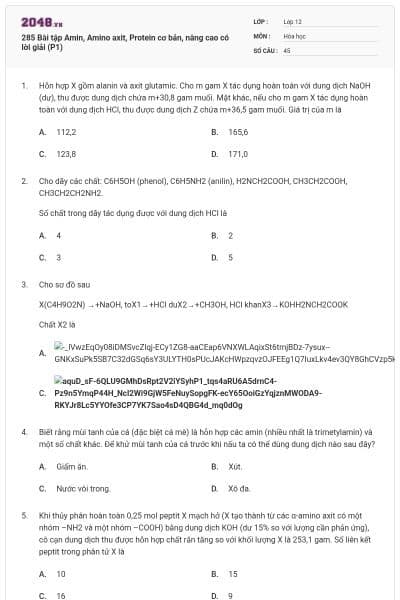 285 Bài tập Amin, Amino axit, Protein cơ bản, nâng cao có lời giải (P1)