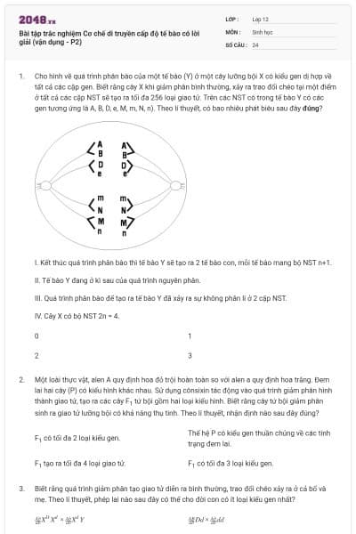 Bài tập trắc nghiệm Cơ chế di truyền cấp độ tế bào có lời giải (vận dụng - P2)