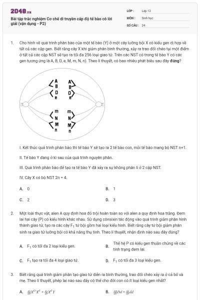 Bài tập trắc nghiệm Cơ chế di truyền cấp độ tế bào có lời giải (vận dụng - P2)