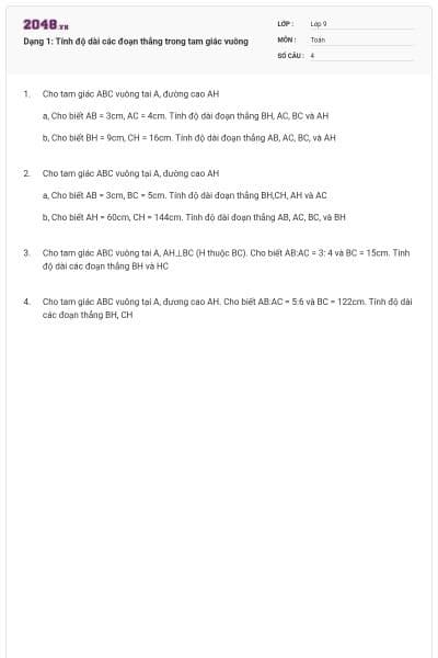 Dạng 1: Tính độ dài các đoạn thẳng trong tam giác vuông