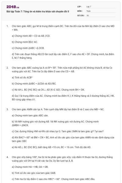 Bài tập Toán 7: Tổng ôn và kiểm tra khảo sát chuyên đề II