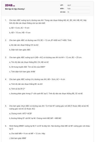 Bài tập ôn tập chương I