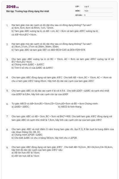 Bài tập: Trường hợp đồng dạng thứ nhất