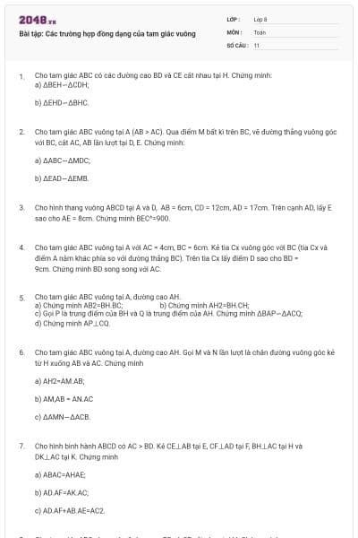 Bài tập: Các trường hợp đồng dạng của tam giác vuông