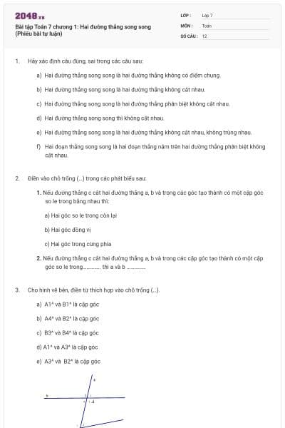 Bài tập Toán 7 chương 1: Hai đường thẳng song song (Phiếu bài tự luận)