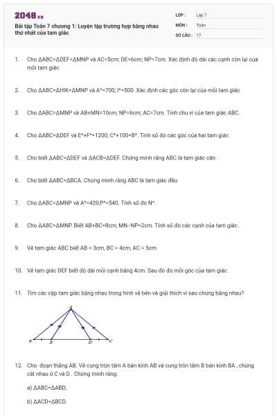 Bài tập Toán 7 chương 1: Luyện tập trường hợp bằng nhau thứ nhất của tam giác