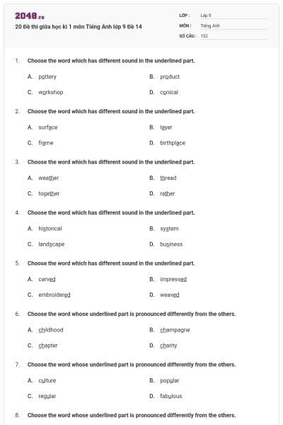 20 Đề thi giữa học kì 1 môn Tiếng Anh lớp 9 Đề 14