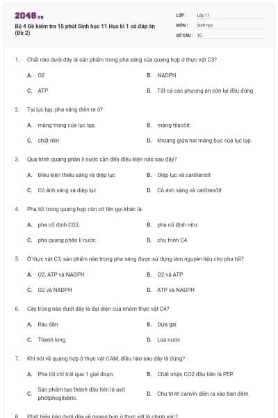 Bộ 4 Đề kiểm tra 15 phút Sinh học 11 Học kì 1 có đáp án (Đề 2)