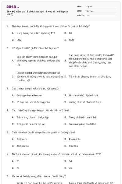 Bộ 4 Đề kiểm tra 15 phút Sinh học 11 Học kì 1 có đáp án (Đề 3)