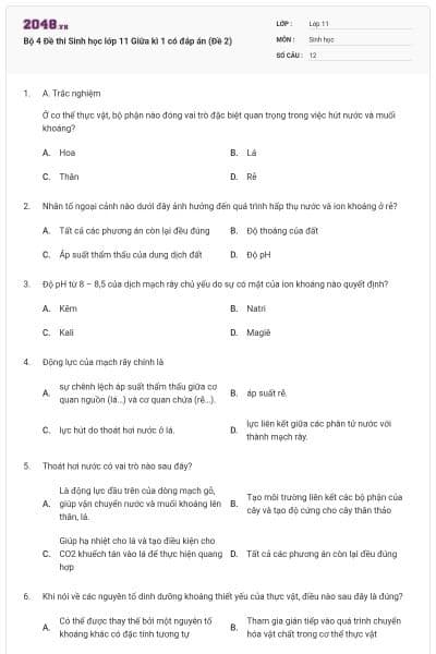 Bộ 4 Đề thi Sinh học lớp 11 Giữa kì 1 có đáp án (Đề 2)