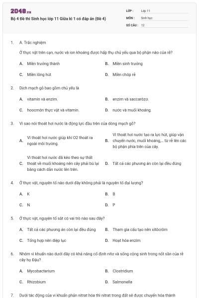 Bộ 4 Đề thi Sinh học lớp 11 Giữa kì 1 có đáp án (Đề 4)
