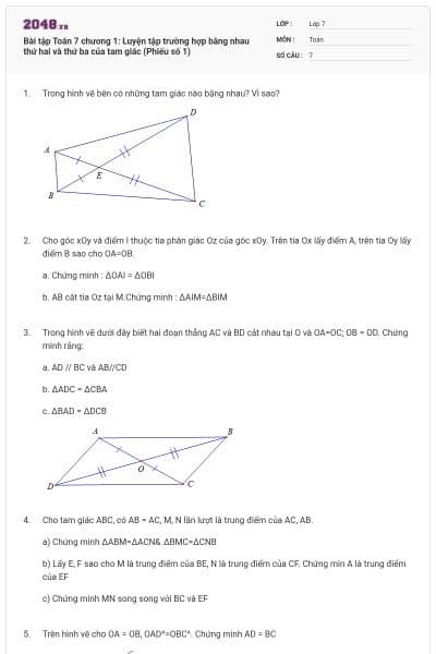 Bài tập Toán 7 chương 1: Luyện tập trường hợp bằng nhau thứ hai và thứ ba của tam giác (Phiếu số 1)