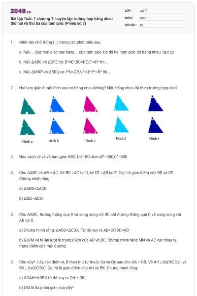Bài tập Toán 7 chương 1: Luyện tập trường hợp bằng nhau thứ hai và thứ ba của tam giác (Phiếu số 3)