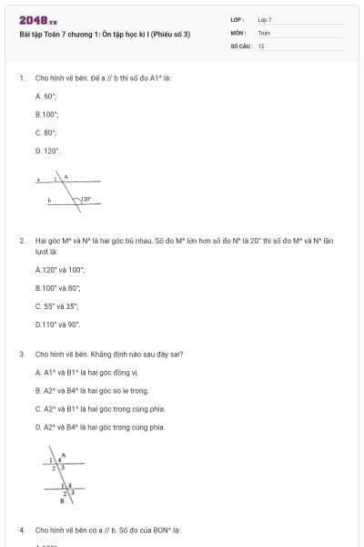 Bài tập Toán 7 chương 1: Ôn tập học kì I (Phiếu số 3)