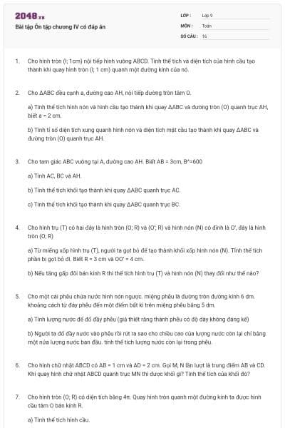 Bài tập Ôn tập chương IV có đáp án