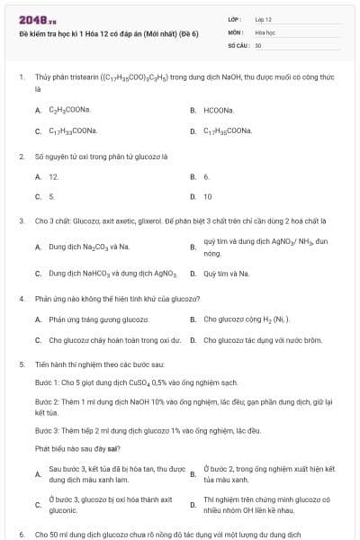 Đề kiểm tra học kì 1 Hóa 12 có đáp án (Mới nhất) (Đề 6)