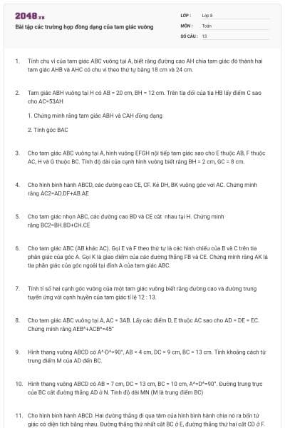 Bài tập các trường hợp đồng dạng của tam giác vuông