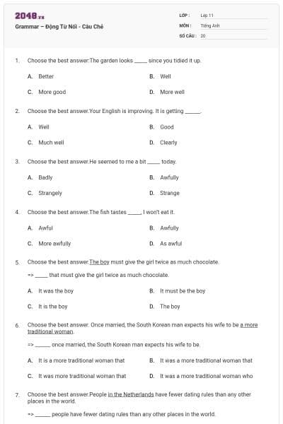 Grammar – Động Từ Nối - Câu Chẻ