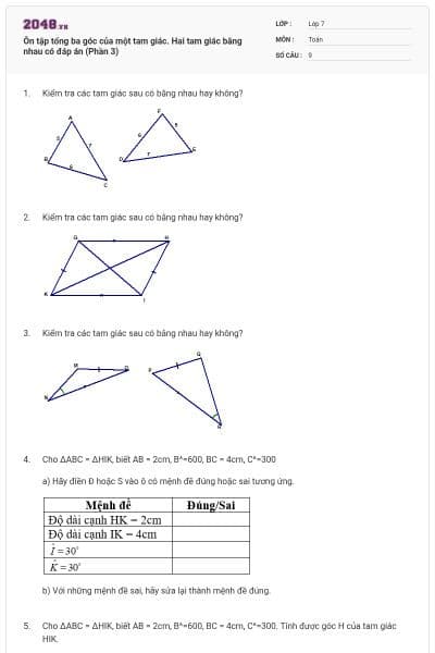 Ôn tập tổng ba góc của một tam giác. Hai tam giác bằng nhau có đáp án (Phần 3)