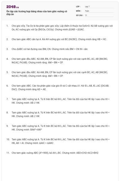 Ôn tập các trường hợp bằng nhau của tam giác vuông có đáp án