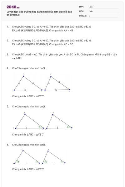 Luyện tập: Các trường hợp bằng nhau của tam giác có đáp án (Phần 2)