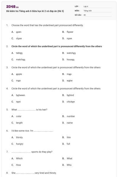 Đề kiểm tra Tiếng anh 6 Giữa học kì 2 có đáp án (Đề 3)