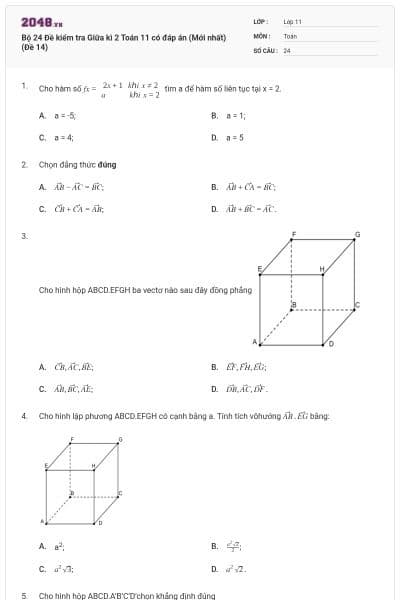 Bộ 24 Đề kiểm tra Giữa kì 2 Toán 11 có đáp án (Mới nhất) (Đề  14)