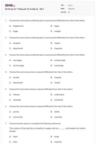 Đề thi học kì 1 Tiếng anh 10 có đáp án - Đề 5