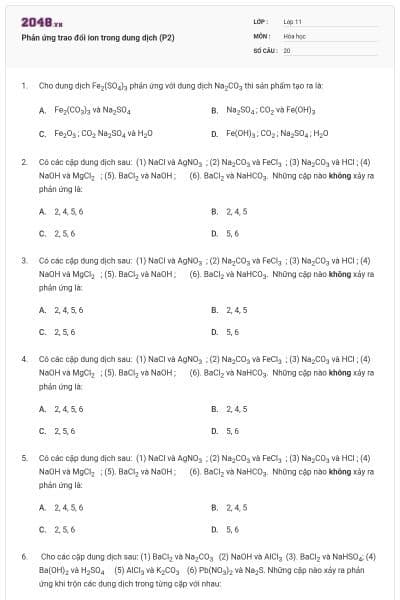 Phản ứng trao đổi ion trong dung dịch (P2)