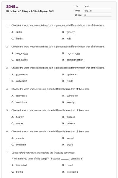 Đề thi học kì 1 Tiếng anh 10 có đáp án - Đề 9